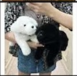 The Ultimate Guide to Choosing the Perfect Pambu Panda Gift for Your Girlfriend or Boyfriend