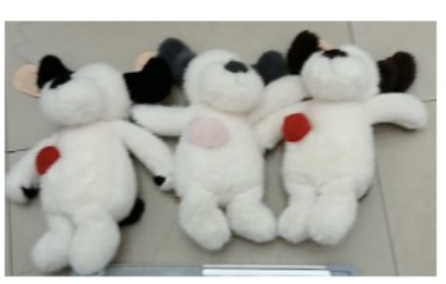 Finding the Ideal Panda Gift: Perfect Presents for Girlfriends, Boyfriends, Adults, and Birthday Celebrations