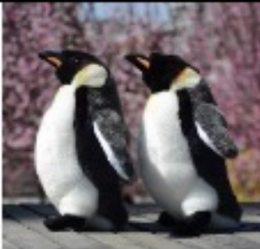 Finding the Perfect Panda Gift for Your Special Someone: Insights and Recommendations