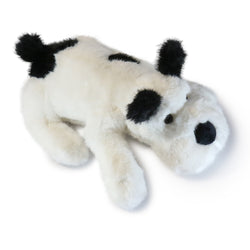 Image of Biscuit Dog