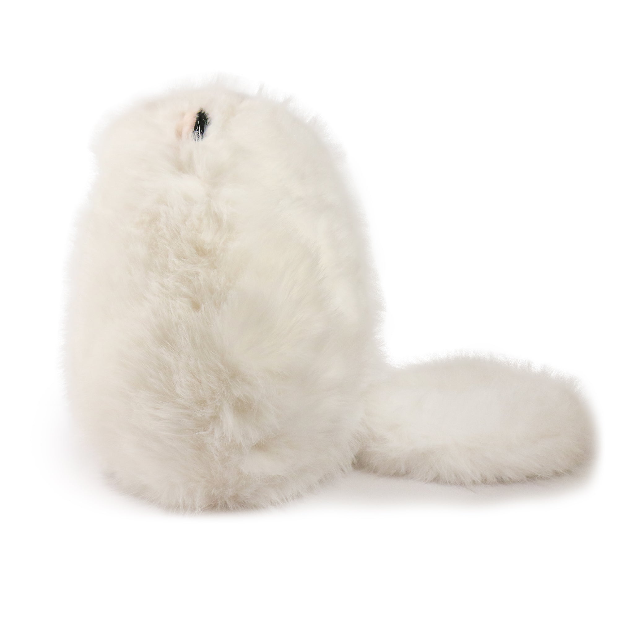 Marshmallow Cat