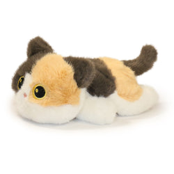Image of Patches Cat
