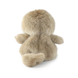 Image of Pip Platypus